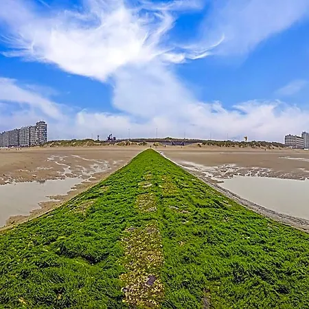 Spacious With Sunny Terrace *
